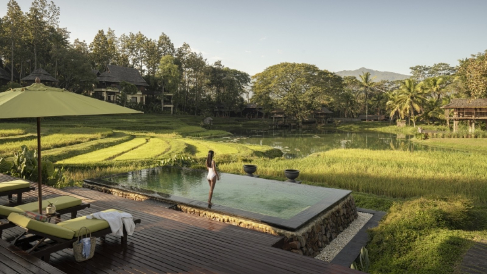 A private plunge pool on a wooden deck above working rice terraces, Four Seasons Resort Chiang Mai